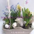 Przedsiębiorstwo 33 wizerunek PRACOWNIA FLORYSTYCZNA PASSJA-FLORA ANNA SMOLIŃSKA-WIECZORKIEWICZ Kwiaciarnie w Lublin LU