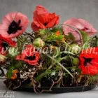 Przedsiębiorstwo 39 wizerunek PRACOWNIA FLORYSTYCZNA PASSJA-FLORA ANNA SMOLIŃSKA-WIECZORKIEWICZ Kwiaciarnie w Lublin LU