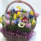 Przedsiębiorstwo 54 wizerunek PRACOWNIA FLORYSTYCZNA PASSJA-FLORA ANNA SMOLIŃSKA-WIECZORKIEWICZ Kwiaciarnie w Lublin LU