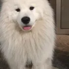 Przedsiębiorstwo 3 wizerunek PRZYCHODNIA WETERYNARYJNA DR.WET Zwierzęta - Artykuły w Warszawa MZ