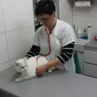 Przedsiębiorstwo 3 wizerunek PRZYCHODNIA WETERYNARYJNA PROVET S.C. Weterynaria - Usługi w Warszawa MZ