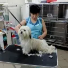 Przedsiębiorstwo 8 wizerunek PRZYCHODNIA WETERYNARYJNA PROVET S.C. Weterynaria - Usługi w Warszawa MZ