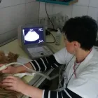 Przedsiębiorstwo 11 wizerunek PRZYCHODNIA WETERYNARYJNA PROVET S.C. Weterynaria - Usługi w Warszawa MZ