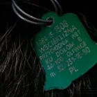 Przedsiębiorstwo 1 wizerunek PRZYCHODNIA WETERYNARYJNA Weterynaria - Usługi w Gliwice SL