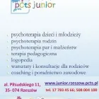 Przedsiębiorstwo 1 wizerunek PSYCHOTERAPIA PSYCHOLOG LOGOPEDA JUNIOR RZESZÓW Psycholodzy w Rzeszów PK