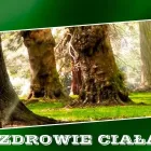 Przedsiębiorstwo 9 wizerunek RADIESTEZJA BIO-OM Medycyna Naturalna w Warszawa MZ