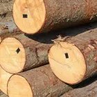 Przedsiębiorstwo 8 wizerunek RAMBOLL ENVIRON POLAND SP. Z O.O. Kategoria w Warszawa MZ