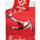 Przedsiębiorstwo 9 wizerunek REAN w Kraków MA