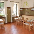 Przedsiębiorstwo 11 wizerunek RESTAURACJA BAZYLIA Restauracje - Kuchnie Inne w Kraków MA