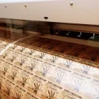 Przedsiębiorstwo 2 wizerunek SI-ART ZAKŁAD PRODUKCJI POMOCY DYDAKTYCZNYCH Kategoria w Lublin LU