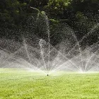 Przedsiębiorstwo 4 wizerunek SORTED Ogrody, Tereny Zieleni - Projektowanie, Utrzymanie w Warszawa MZ