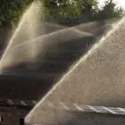 Przedsiębiorstwo 8 wizerunek SORTED Ogrody, Tereny Zieleni - Projektowanie, Utrzymanie w Warszawa MZ