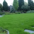 Przedsiębiorstwo 13 wizerunek SORTED Ogrody, Tereny Zieleni - Projektowanie, Utrzymanie w Warszawa MZ