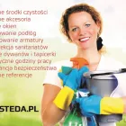Przedsiębiorstwo 1 wizerunek STEDA RENATA MARCINKIEWICZ Sprzątanie - Usługi w Lubin DS