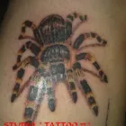 Przedsiębiorstwo 4 wizerunek STUDIO TATUAŻU ART. TATTOO77 Tatuaże - Usługi w Zgierz LD