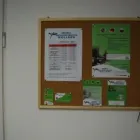 Przedsiębiorstwo 1 wizerunek SZKOŁA JĘZYKÓW OBCYCH KOLIBER Szkoły Języków Obcych w Sosnowiec SL