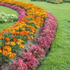 Przedsiębiorstwo 4 wizerunek SZKÓŁKA DRZEW I KRZEWÓW SZYCA Ogrodnicze Artykuły, Sprzęt w Katowice SL