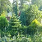 Przedsiębiorstwo 7 wizerunek SZKÓŁKA DRZEW I KRZEWÓW SZYCA Ogrodnicze Artykuły, Sprzęt w Katowice SL