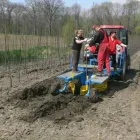Przedsiębiorstwo 14 wizerunek SZKÓŁKA DRZEW I KRZEWÓW SZYCA Ogrodnicze Artykuły, Sprzęt w Katowice SL