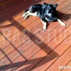 Przedsiębiorstwo 6 wizerunek TARAS STUDIO Panele, Podłogi w Warszawa MZ