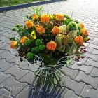 Przedsiębiorstwo 7 wizerunek TOPFLORIST STUDIO FLORYSTYCZNO - DEKORATORSKIE Ślubne Usługi w Lublin LU