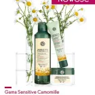 Przedsiębiorstwo 3 wizerunek YVES ROCHER BRONOWICE w Kraków MA