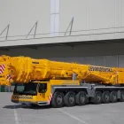 Przedsiębiorstwo 5 wizerunek ŻURAWIE POLSKA LEWANDOWSKA Wózki Elektryczne, Spalinowe, Widłowe w Suchy Las WP