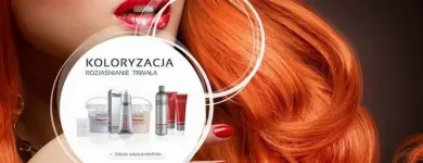 Przedsiębiorstwo 5 wizerunek EURO STYL PALCO POLSKA DYSTRYBUTOR ARTYKUŁÓW FRYZJERSKICH WŁOSKIEJ FIRMY PALCO Kosmetyka - Usługi w Katowice SL