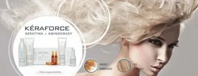 Przedsiębiorstwo 10 wizerunek EURO STYL PALCO POLSKA DYSTRYBUTOR ARTYKUŁÓW FRYZJERSKICH WŁOSKIEJ FIRMY PALCO Kosmetyka - Usługi w Katowice SL