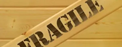 Przedsiębiorstwo 14 wizerunek EUROMAX SŁAWOMIR SIADEK Spedycja w Kraków MA