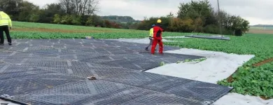 Przedsiębiorstwo 17 wizerunek FALKON INTERNATIONAL Kategoria w Rzeszów PK