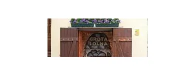 Przedsiębiorstwo 2 wizerunek GROTASOLNARYNEK Sanatoria w Poznań WP