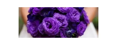 Przedsiębiorstwo 3 wizerunek MAJA ORGANIZACJA ŚLUBÓW RZESZÓW Wideofilmowanie w Rzeszów PK