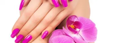 Przedsiębiorstwo 16 wizerunek NOVO BEAUTY SALON Kosmetyka - Usługi w Poznań WP