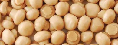 Przedsiębiorstwo 1 wizerunek OKECHAMP S.A. (WŁAŚCICIEL MARKI OLE) Zdrowa Żywność w Poznań WP