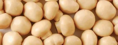 Przedsiębiorstwo 2 wizerunek OKECHAMP S.A. (WŁAŚCICIEL MARKI OLE) Zdrowa Żywność w Poznań WP