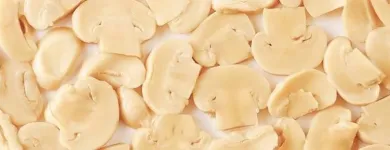 Przedsiębiorstwo 3 wizerunek OKECHAMP S.A. (WŁAŚCICIEL MARKI OLE) Zdrowa Żywność w Poznań WP