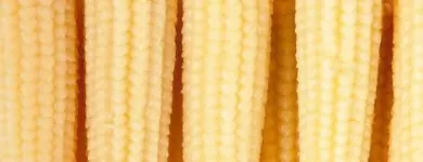 Przedsiębiorstwo 11 wizerunek OKECHAMP S.A. (WŁAŚCICIEL MARKI OLE) Zdrowa Żywność w Poznań WP