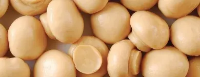 Przedsiębiorstwo 19 wizerunek OKECHAMP S.A. (WŁAŚCICIEL MARKI OLE) Zdrowa Żywność w Poznań WP