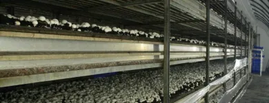 Przedsiębiorstwo 20 wizerunek OKECHAMP S.A. (WŁAŚCICIEL MARKI OLE) Zdrowa Żywność w Poznań WP