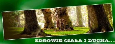 Przedsiębiorstwo 9 wizerunek RADIESTEZJA BIO-OM Medycyna Naturalna w Warszawa MZ
