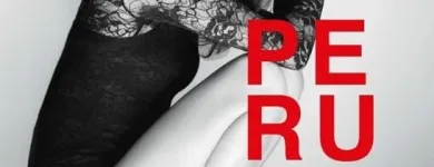 Przedsiębiorstwo 11 wizerunek ROKOKO HAIR COMPANY PERUKI KATOWICE Kosmetyka - Usługi w Katowice SL