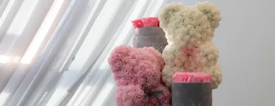 Przedsiębiorstwo 3 wizerunek SILKYBIRD KWIACIARNIA INTERNETOWA Świąteczne Artykuły, Dekoracje w Poznań WP