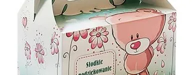 Przedsiębiorstwo 8 wizerunek STEINER STRADA Wideofilmowanie w Rzeszów PK