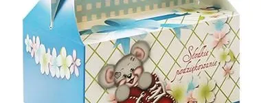 Przedsiębiorstwo 9 wizerunek STEINER STRADA Wideofilmowanie w Rzeszów PK