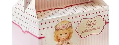 Przedsiębiorstwo 11 wizerunek STEINER STRADA Wideofilmowanie w Rzeszów PK