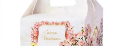 Przedsiębiorstwo 15 wizerunek STEINER STRADA Wideofilmowanie w Rzeszów PK