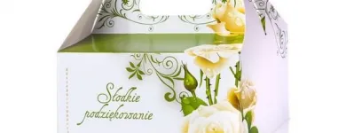 Przedsiębiorstwo 16 wizerunek STEINER STRADA Wideofilmowanie w Rzeszów PK