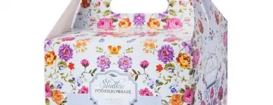 Przedsiębiorstwo 19 wizerunek STEINER STRADA Wideofilmowanie w Rzeszów PK