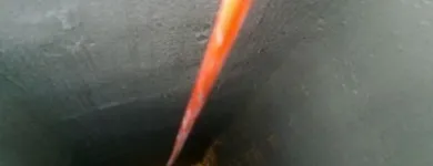 Przedsiębiorstwo 12 wizerunek USZCZELNIANIE KOMINÓW SZLAMOWANIE Skóry - Renowacja, Wyprawa w Rybnik SL